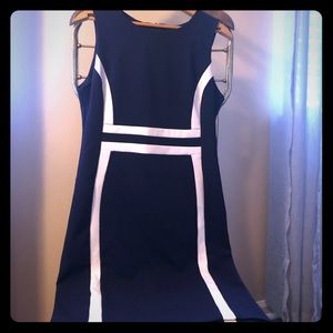 Fitted Navy Dress